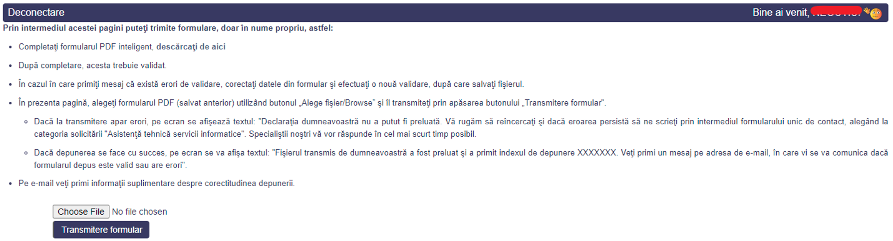 Model completare a declaratiei unice 13